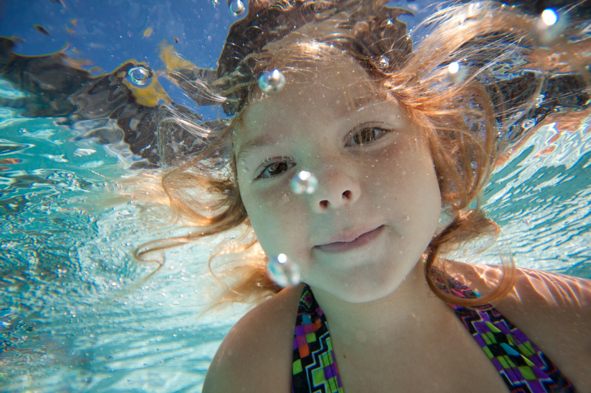 Safe Haven From Allergies Little Otter Swim School